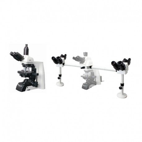 Series Multi-viewing Microscope