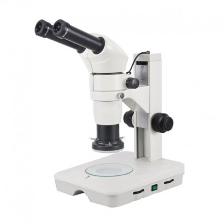 Stereo Microscope