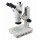 Stereo Microscope