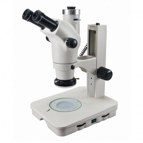 Stereo Microscope