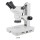 Stereo Microscope