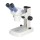 Stereo Microscope