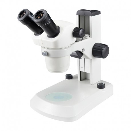 Stereo Microscope