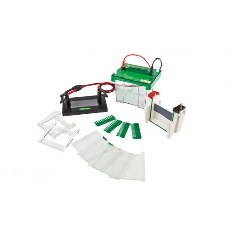 GE-SP11 Horizontal Electrophoresis