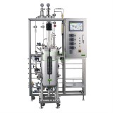 Classic Automatic Stainless Steel Fermenter Bioreactor